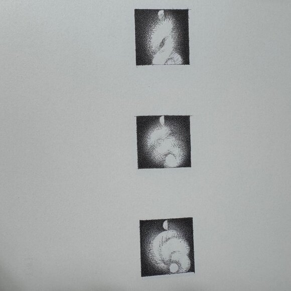 Christine Taylor Patten Micros Art Book 1999 Stinehour Press 1st Edition Signed - Picture 14 of 16